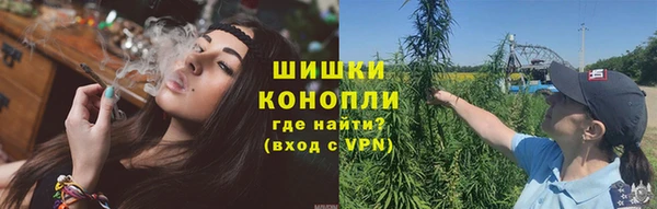 apvp Гусев