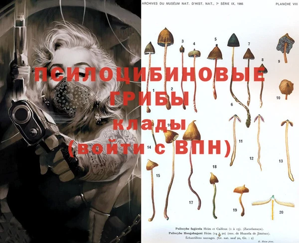 jwh Гусь-Хрустальный