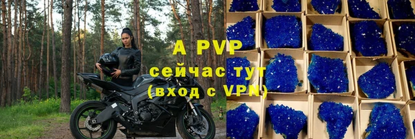 apvp Гусев