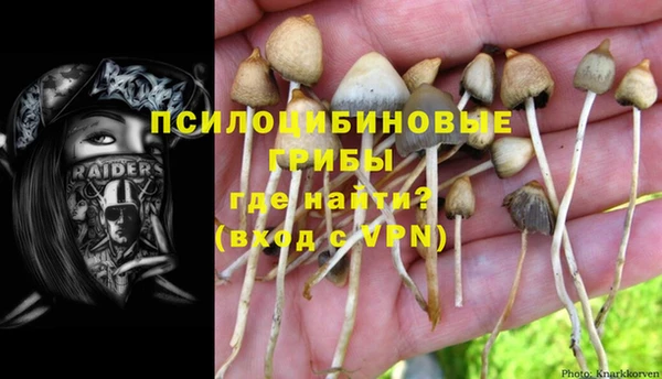 jwh Гусь-Хрустальный