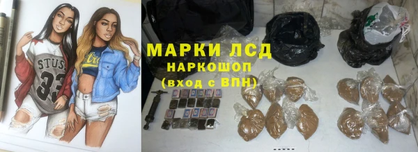 apvp Гусев