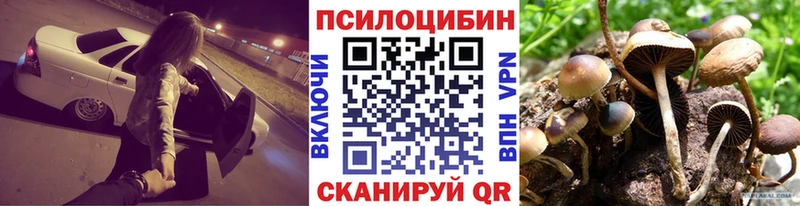 Галлюциногенные грибы Magic Shrooms Москва